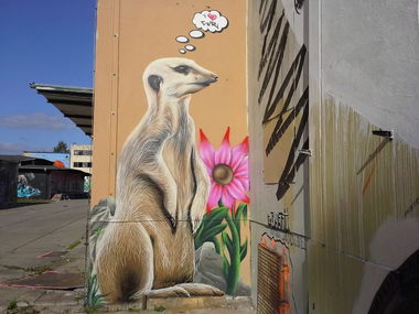 Graffiti Street Art in Magdeburg - Photo by AerosolArena - Weimar, Aerosol-Arena (2013)