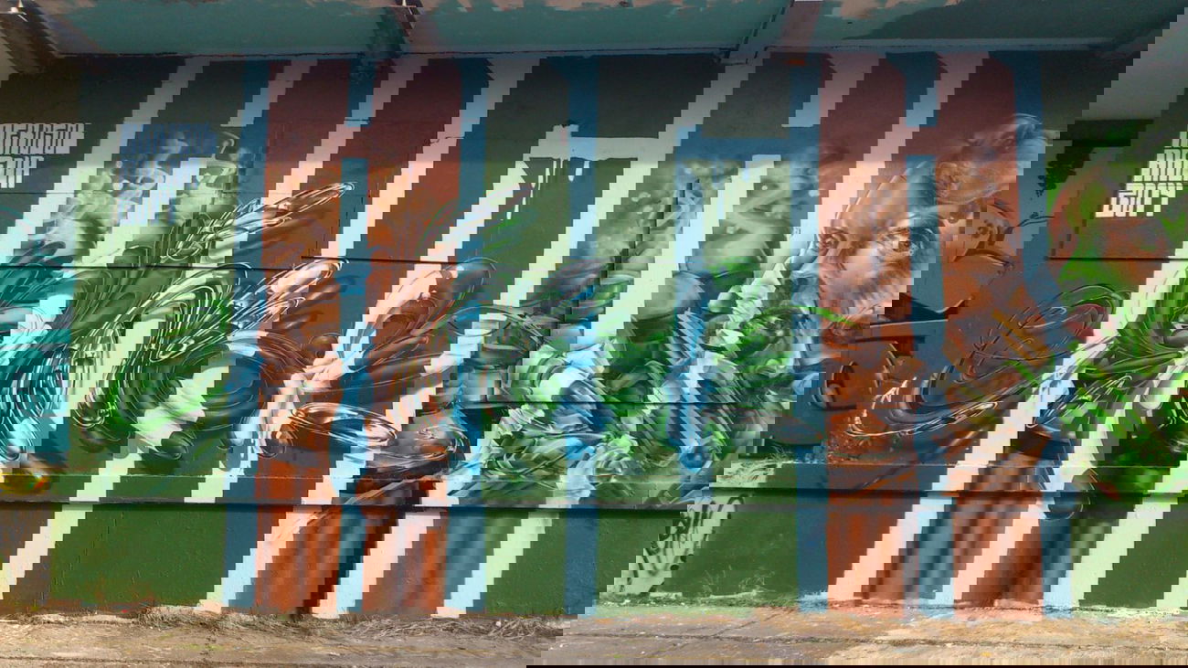 Graffiti Wall - Photo by AerosolArena - SIRIUS, MÜCKE, BIRD (2014)