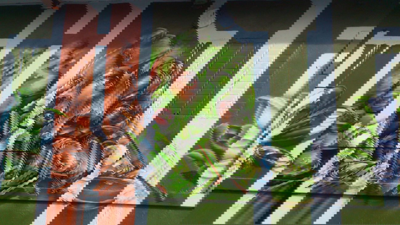 Graffiti Wall - Photo by AerosolArena - BIRD, SILAS, SIRIUS (2014)