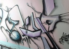 Photo #80004 by TheWallHunter