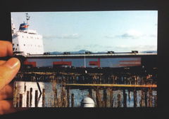 Photo #151130 by Belt