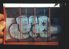 Photo #151639 by Jupiter