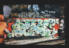 Photo #151638 by Jupiter