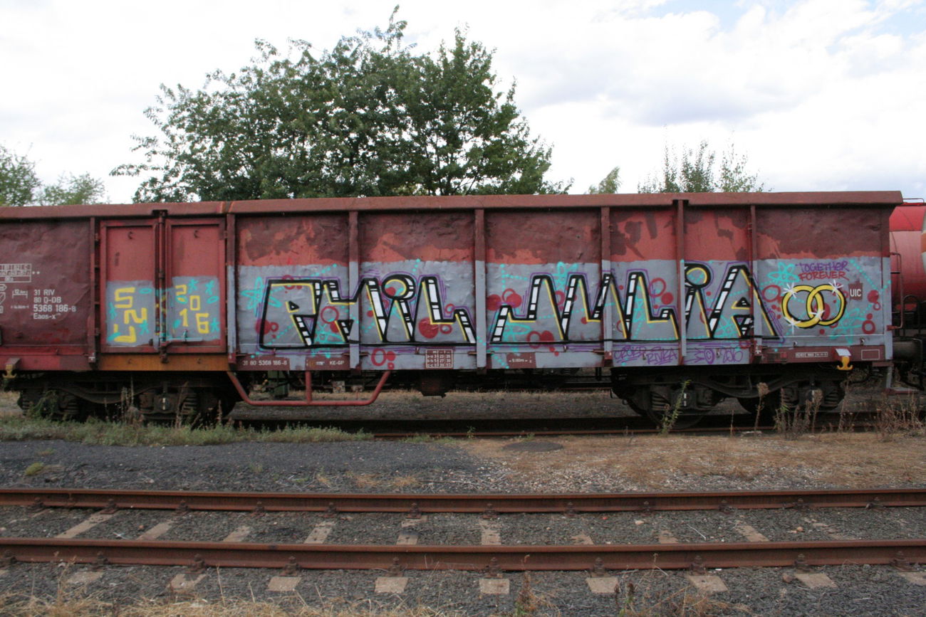 Graffiti Train - Photo by Aetherdog96 - Rivka, Crokd, Snu