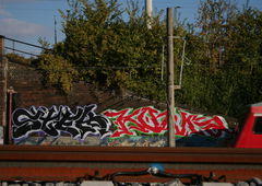 Photo #197645 by MENO