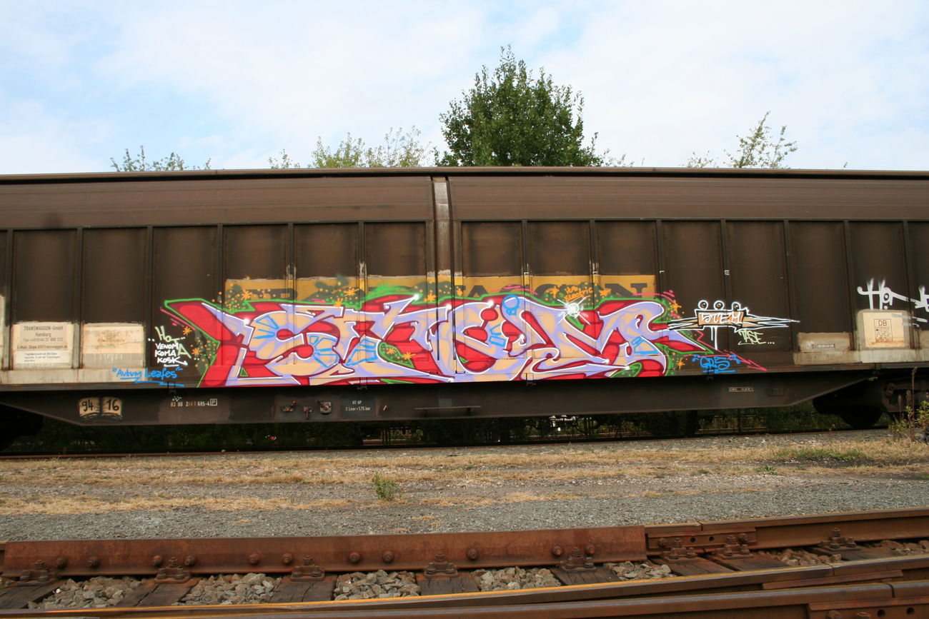 Graffiti Train - Photo by Aetherdog96 - Freight, Stem, Grs