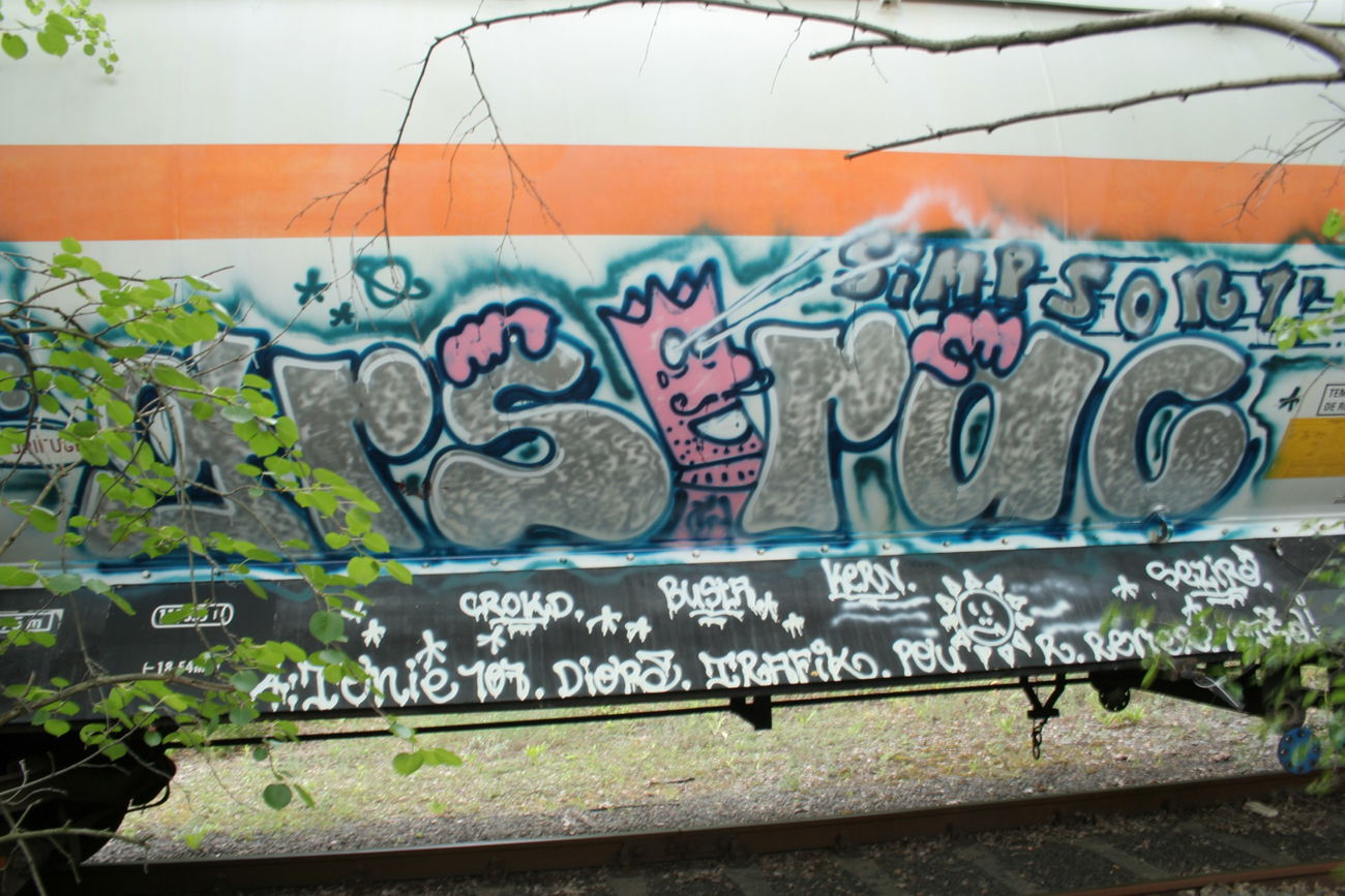 Graffiti Train - Photo by Aetherdog96 - Ever, GRS, RAC