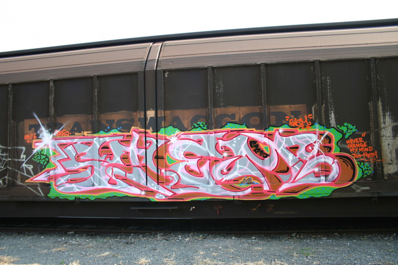 Graffiti Train - Photo by Aetherdog96 - Freight, Stem, Grs