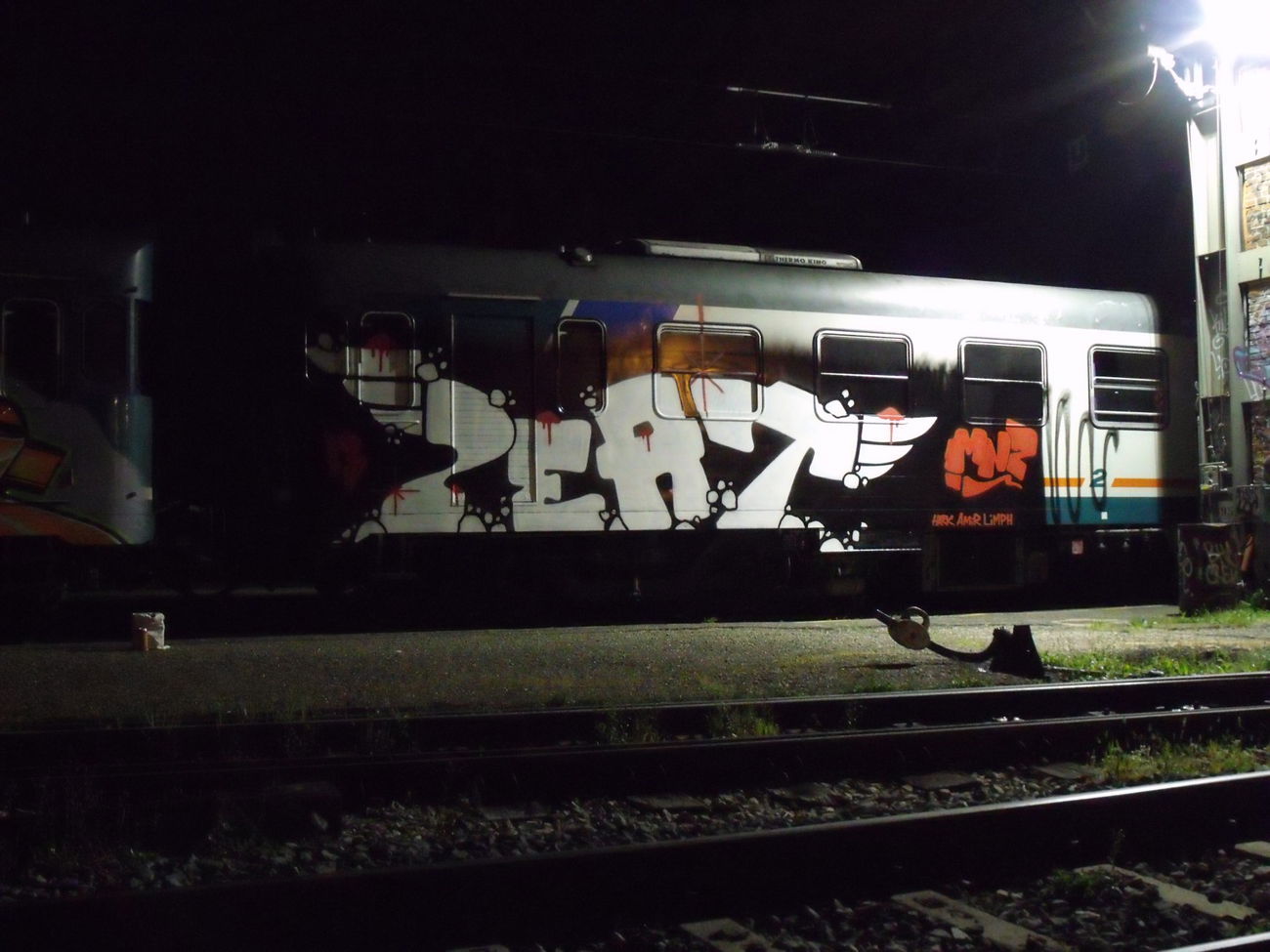 Graffiti Train - Photo by Aetherdog96 - ZEAD, MNZ, GRS