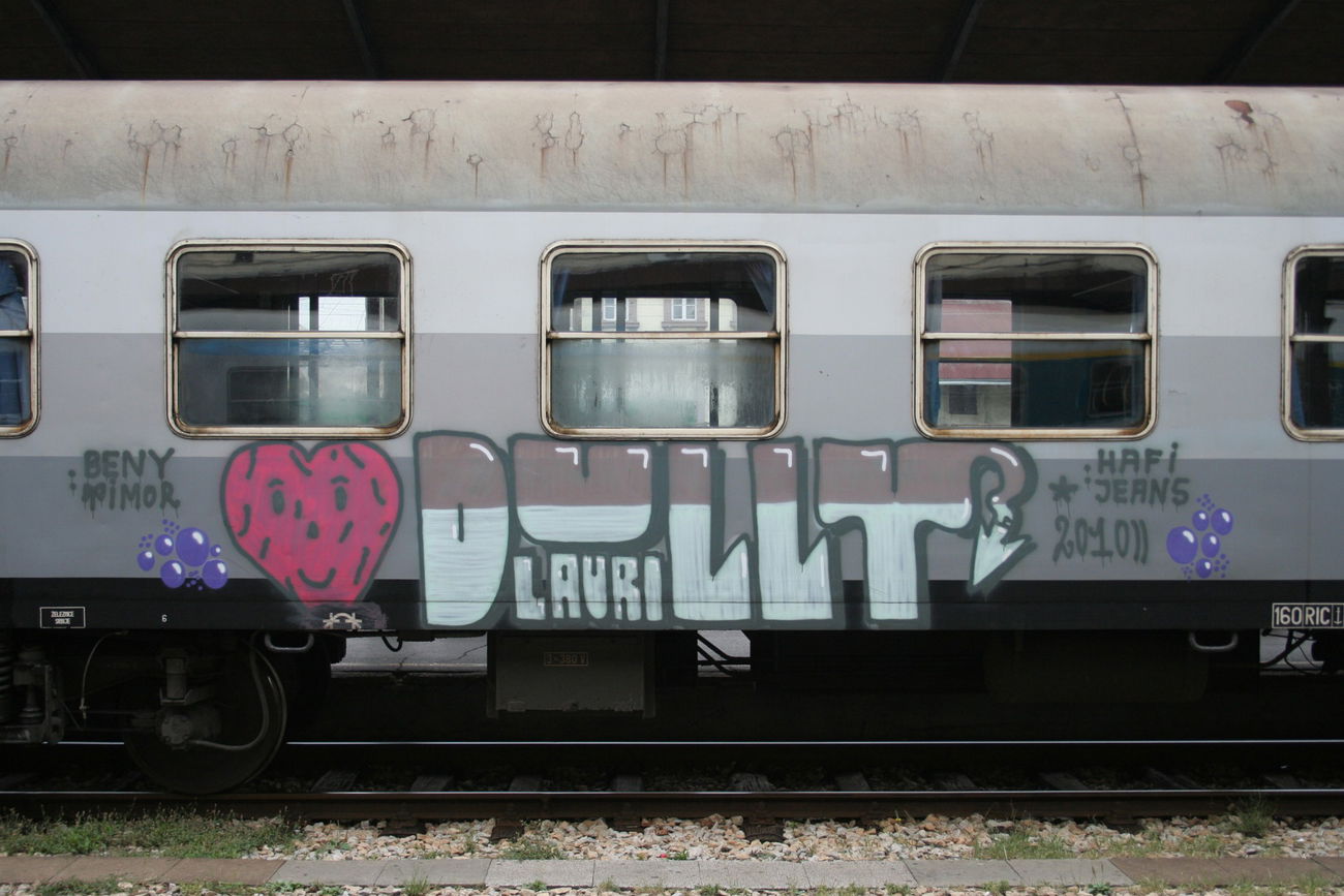 Graffiti Train - Photo by Aetherdog96 - Dully