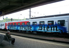 Photo #197639 by MENO