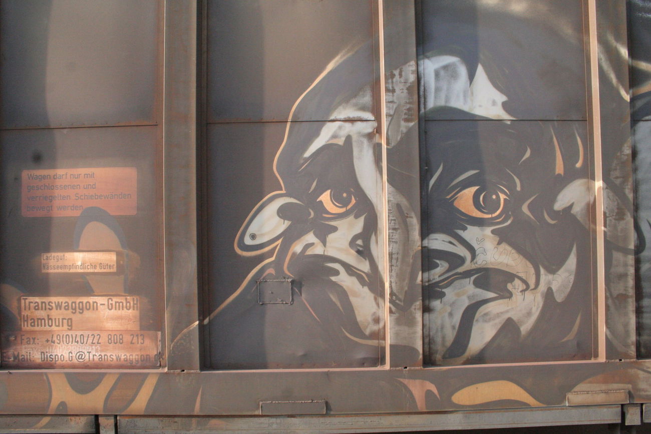 Graffiti Train - Photo by Aetherdog96 - Freight, unknown