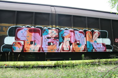 Graffiti Train - Photo by Aetherdog96 - FreightOGTOK