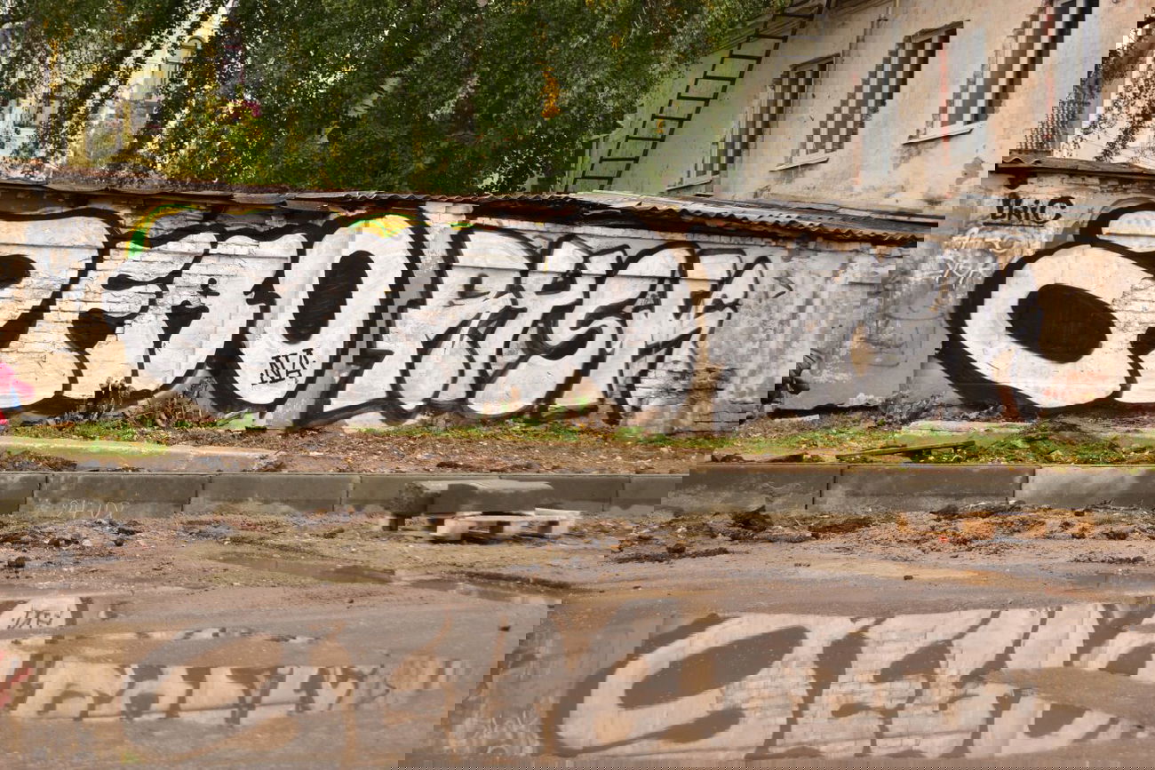 Graffiti Bombing - Photo by Afro - Afro, Rusk (2013)