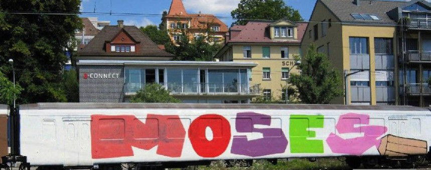 Graffiti Train - Photo by Age123 - moses