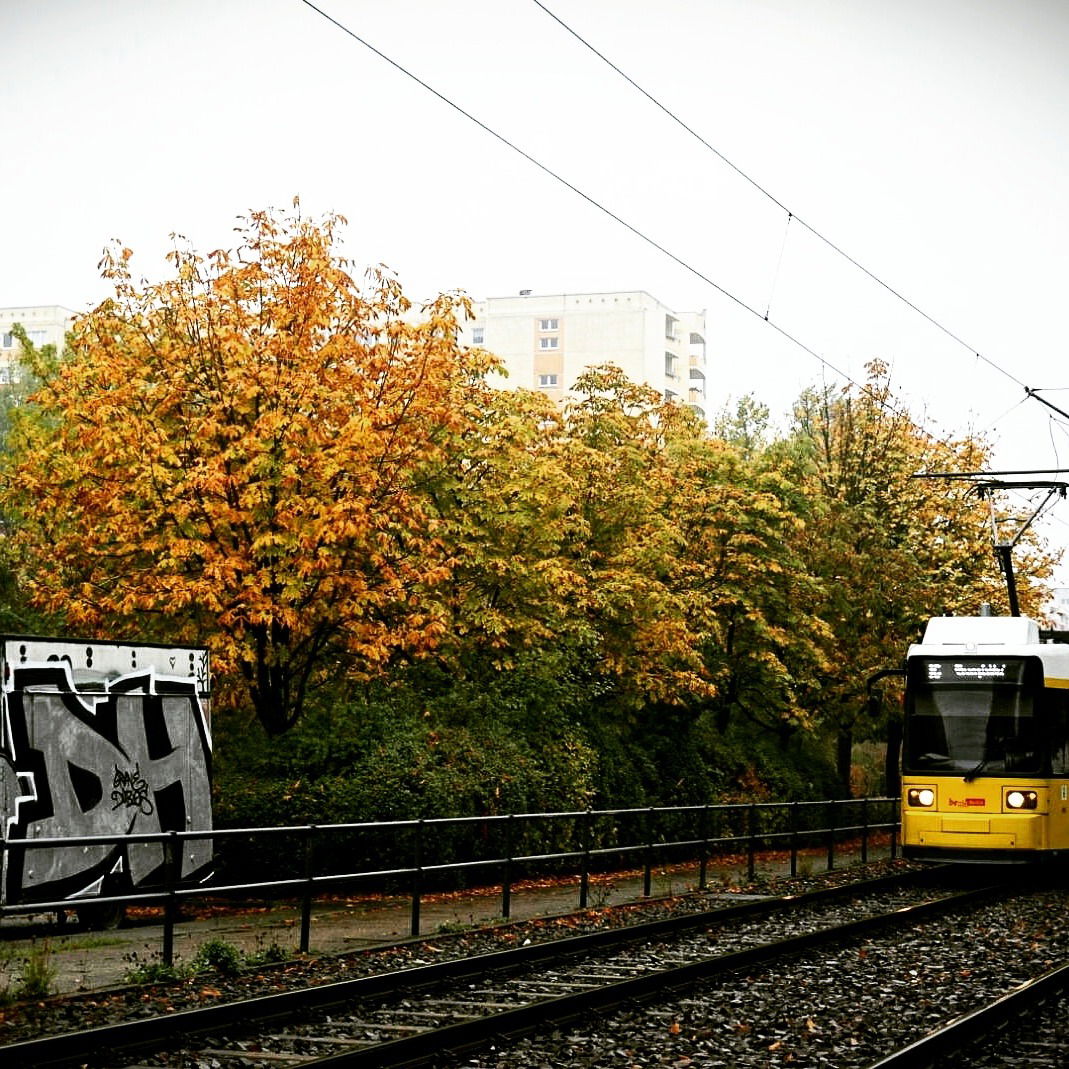 Graffiti Bombing - Photo by Aggrobat183 - grave, dubios, 48