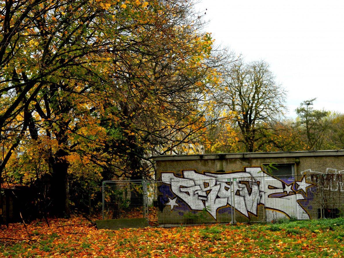 Graffiti Bombing - Photo by Aggrobat183 - grave, dh, 48 (2013)