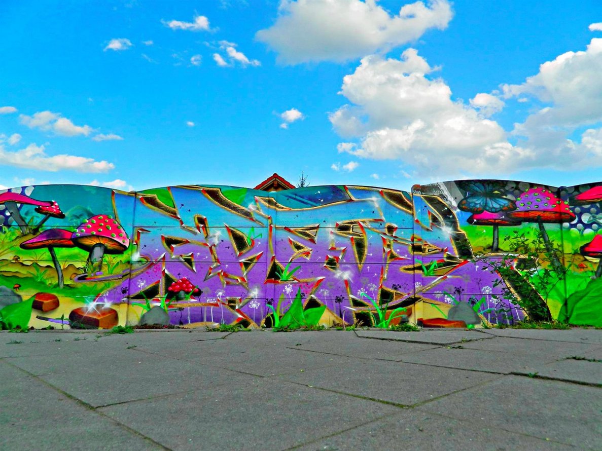 Graffiti Wall in Deutschland - Photo by Aggrobat183 (2015)
