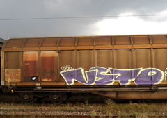 Photo #3360 by rotenwon