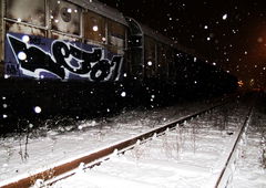 Photo #10437 by FITW