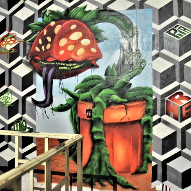 Graffiti Wall - Photo by AiveOne - hrbplusc, Culo, Aive (2019)