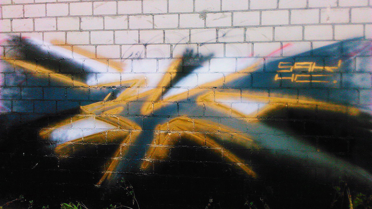 Graffiti Wall - Photo by AkSoN - trainline (2015)