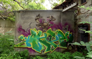 Graffiti Wall - Photo by Akpe - Akpe (2013)