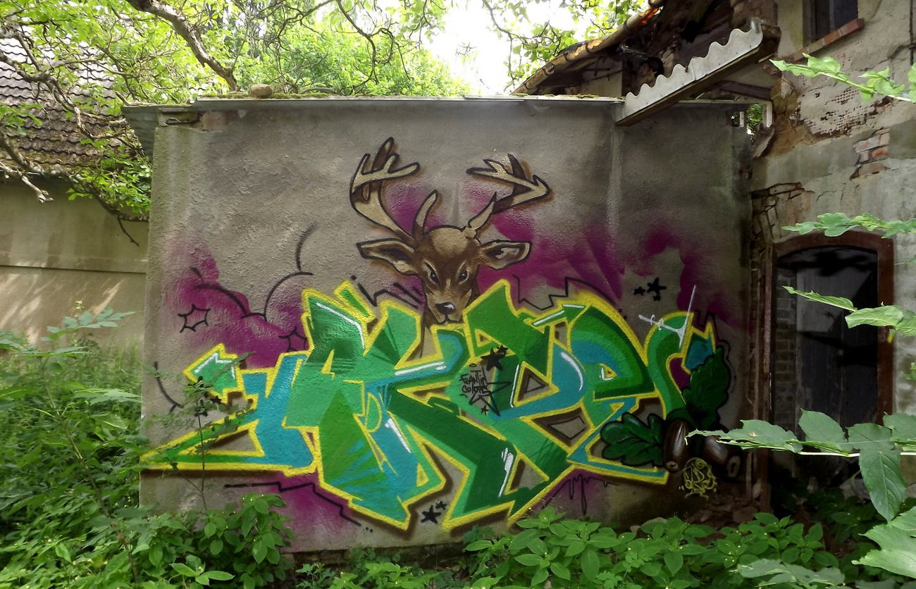 Graffiti Wall - Photo by Akpe - Akpe (2013)
