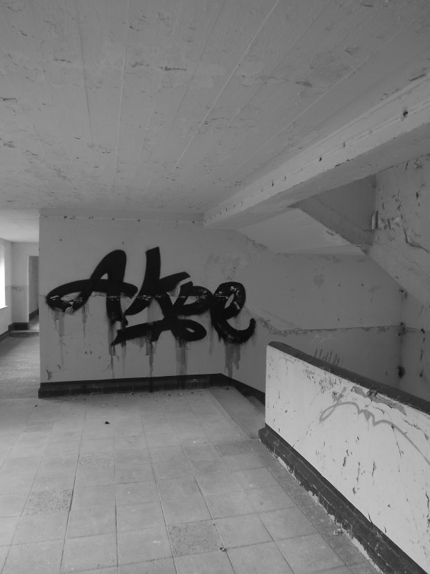 Graffiti Wall - Photo by Akpe - Akpe, Frantic, Colors (2014)