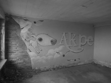 Graffiti Wall - Photo by Akpe - Akpe, Frantic, Colors (2014)