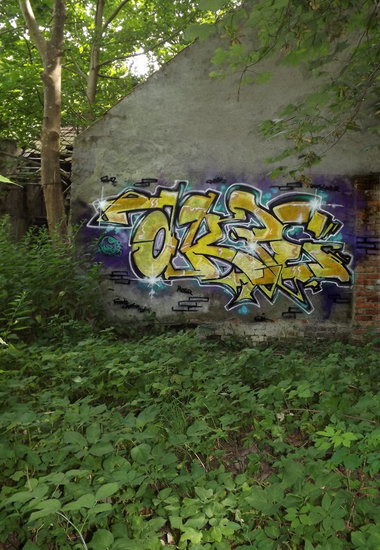 Graffiti Wall - Photo by Akpe - akpe, frantic, colors (2014)