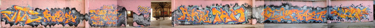 Graffiti Wall - Photo by Akpe - Phits, Reus, Tris (2016)