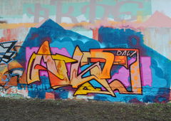 Photo #227978 by neicky