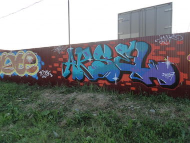 Graffiti Bombing - Photo by Aksel (2013)