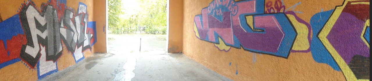 Graffiti Bombing - Photo by Aksel (2011)