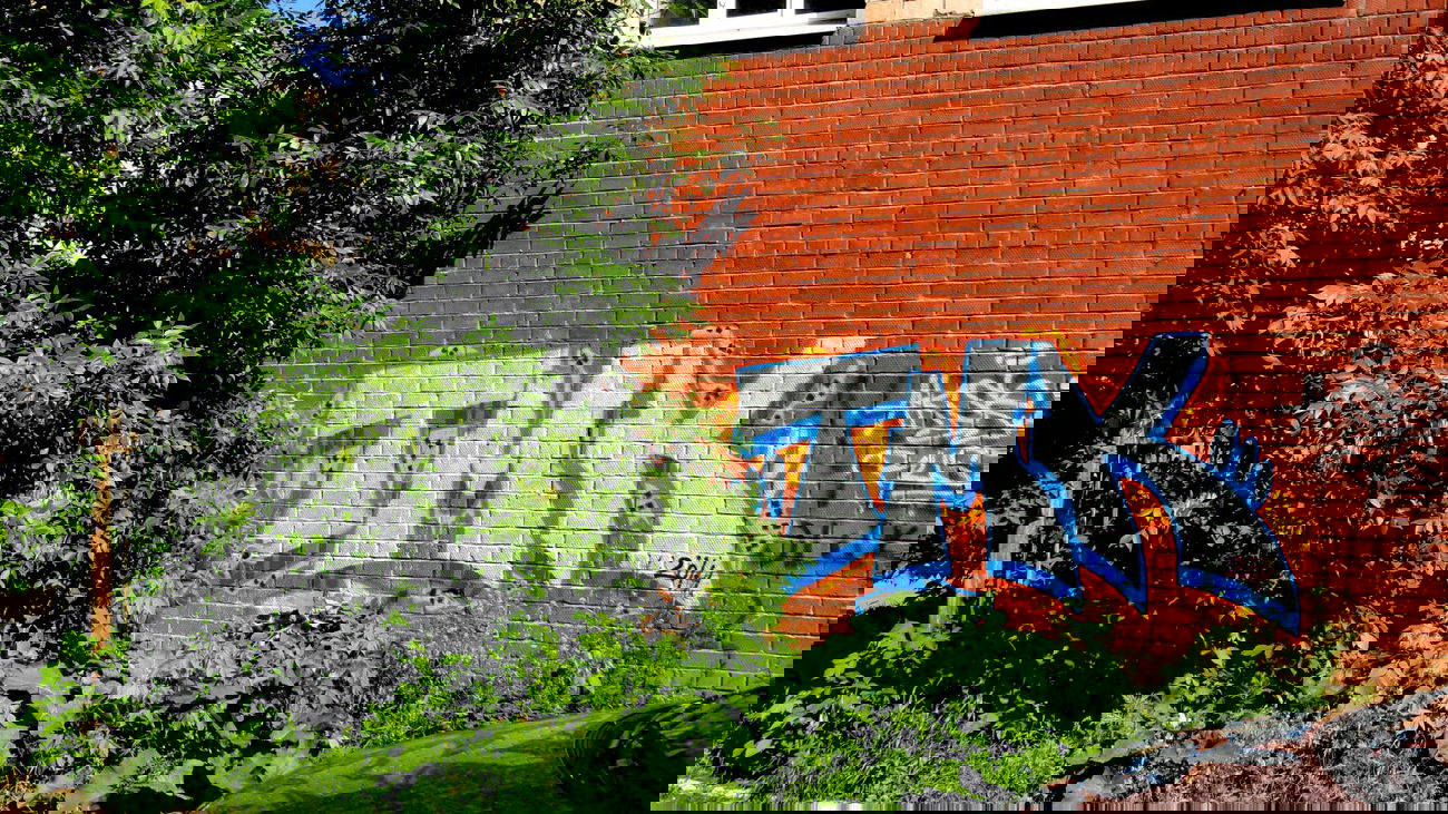 Graffiti Bombing - Photo by Aksel - aksel, tmk, 137