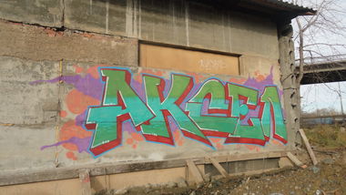 Graffiti Bombing - Photo by Aksel