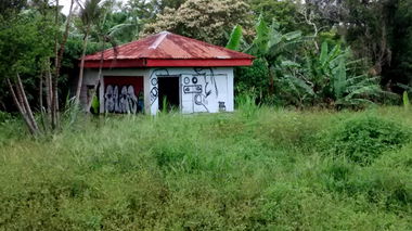 Graffiti Street Art in Heredia - Photo by Alas (2014)