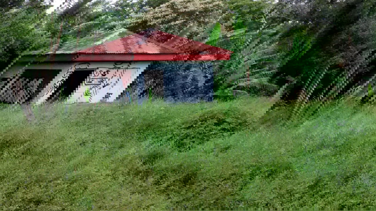 Graffiti Street Art in Heredia - Photo by Alas (2014)