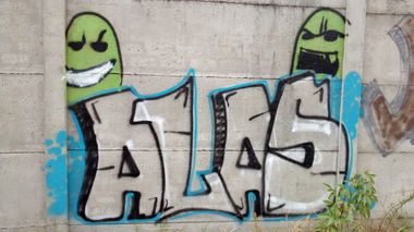 Graffiti Bombing in Heredia - Photo by Alas (2014)