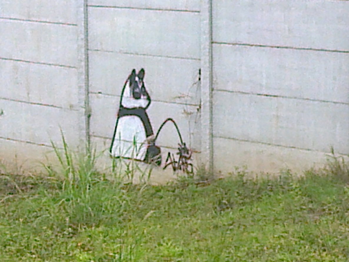 Graffiti Street Art in Costa Rica - Photo by Alas (2013)