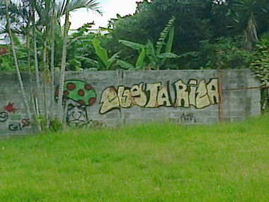 Graffiti Bombing in Costa Rica - Photo by Alas