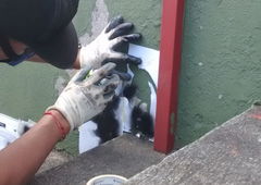 Photo #204532 by TagHagel