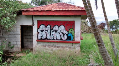 Graffiti Bombing - Photo by Alas (2014)