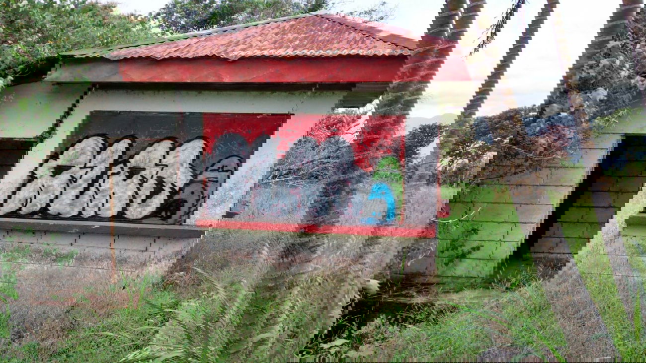 Graffiti Bombing - Photo by Alas (2014)