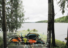 Photo #195933 by TheWallHunter