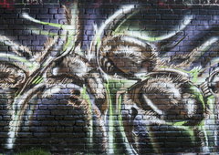 Photo #195956 by TheWallHunter