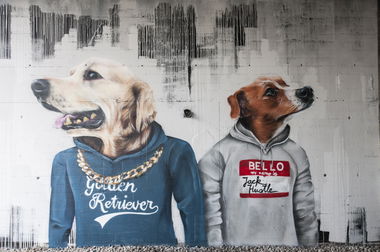 Graffiti Wall - Photo by Albino (2017)