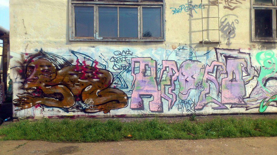 Graffiti Bombing - Photo by Aleo