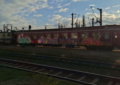 Photo #248470 by BugZBuNNy